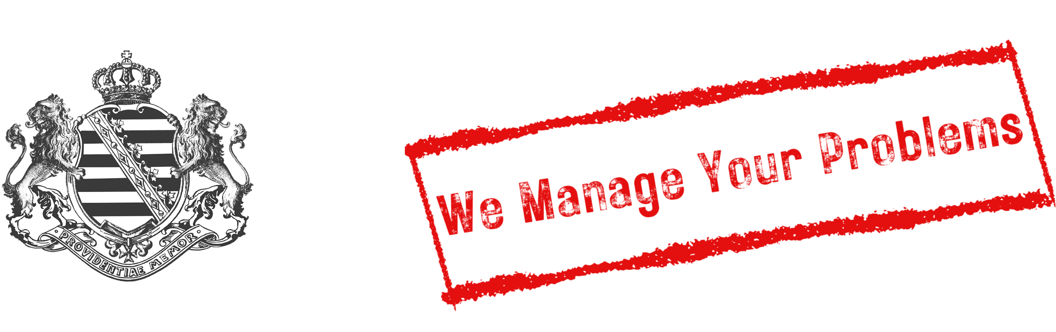 Sachsen Consulting