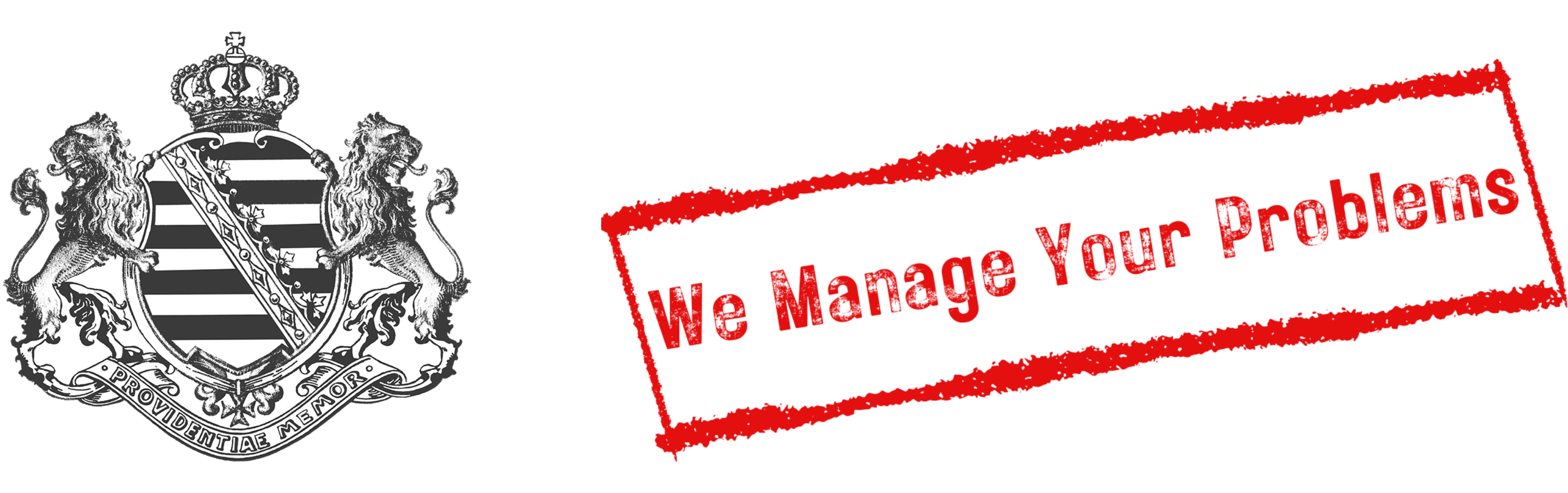Sachsen Consulting