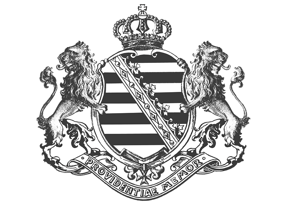 Sachsen Consulting