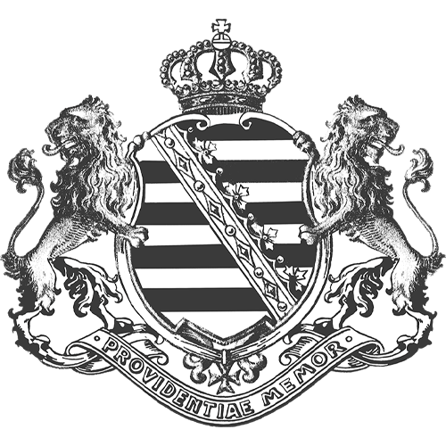 sachsenconsulting